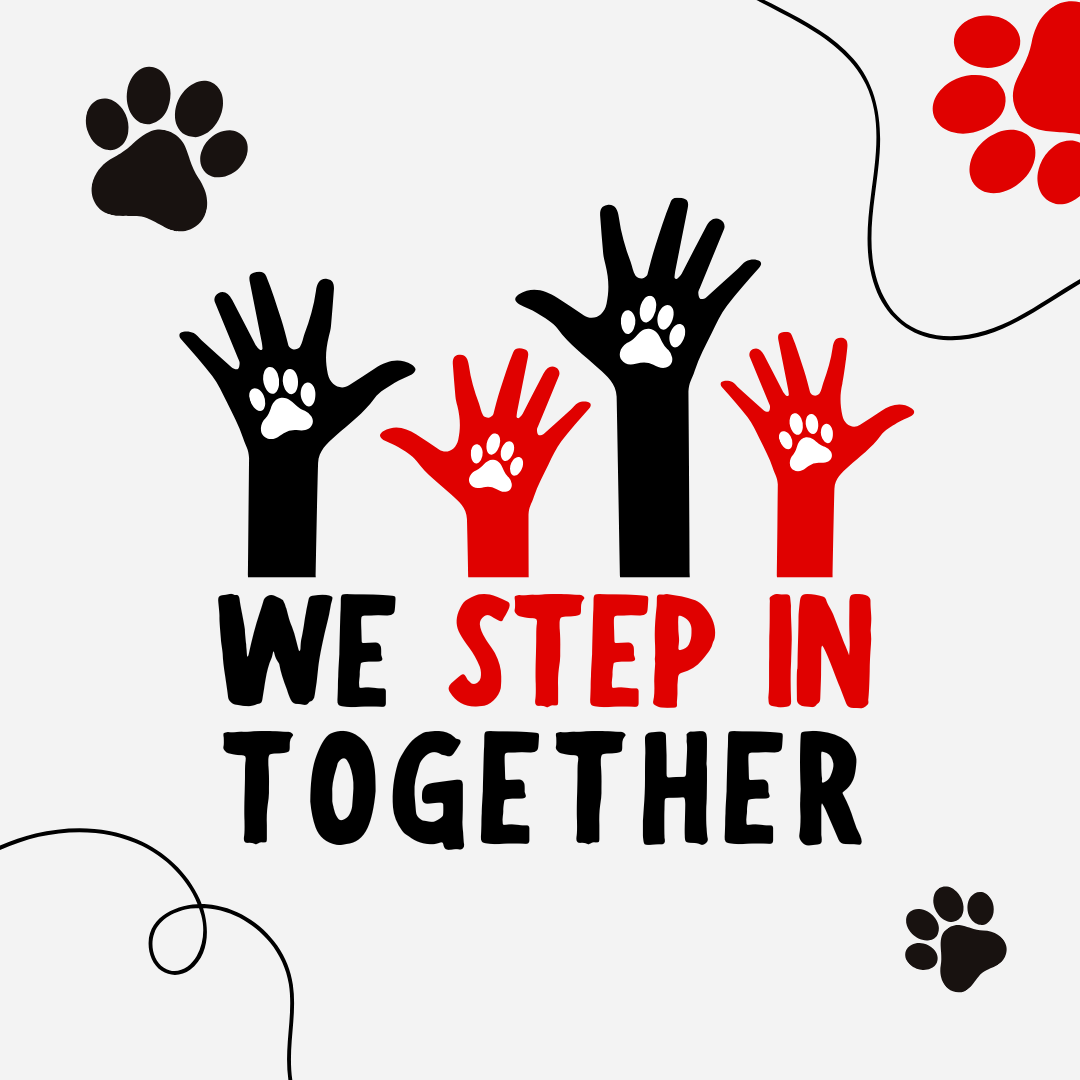 Sponsor a Spay!
